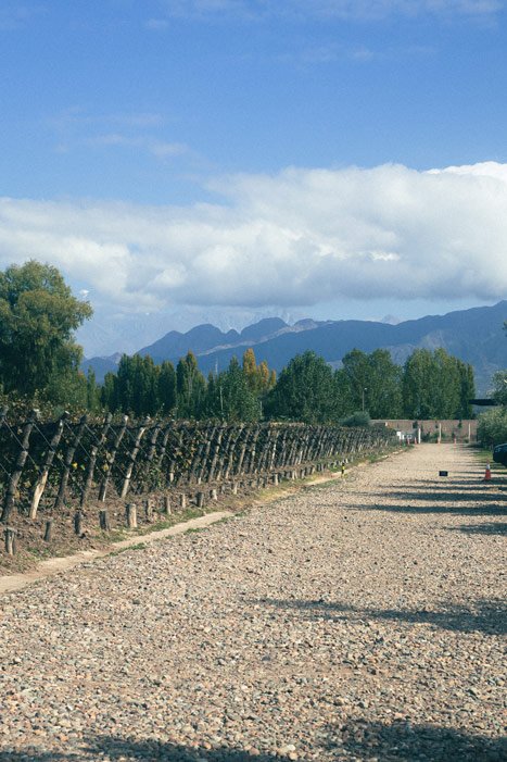 duriguti-(2-de-18) Destino Bodegas