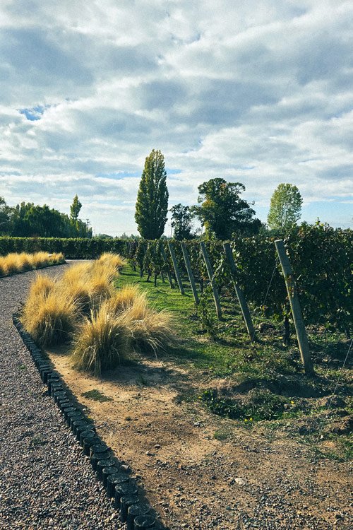 duriguti-(15-de-18) Destino Bodegas